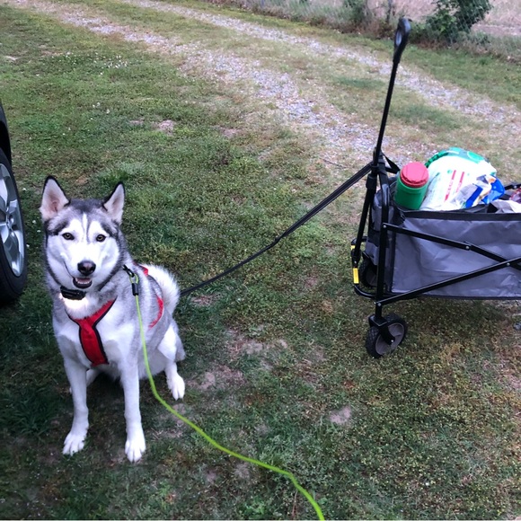 Meet your Posher, Elizabeth - Picture 12 of 16